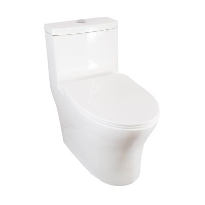 Sanitario One Piece Palermo Blanco